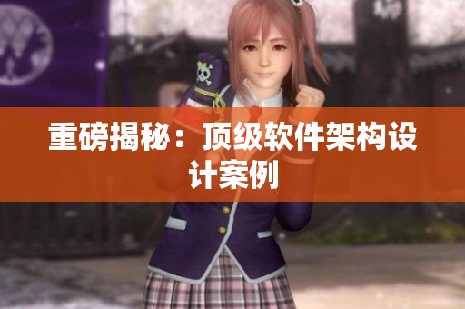 重磅揭秘：顶级软件架构设计案例