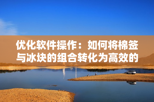 优化软件操作：如何将棉签与冰块的组合转化为高效的软件策略