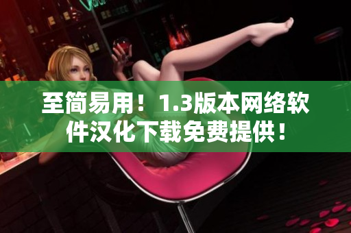 至简易用！1.3版本网络软件汉化下载免费提供！