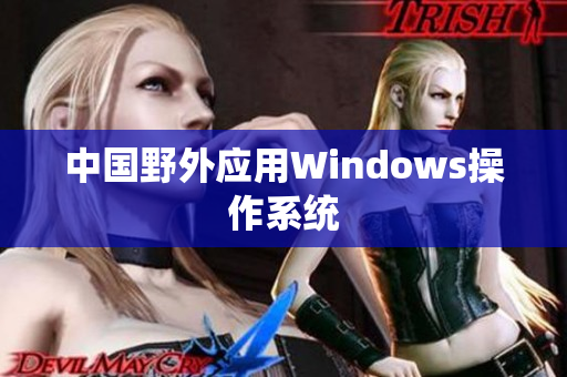 中国野外应用Windows操作系统