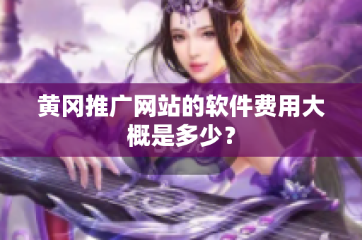 黄冈推广网站的软件费用大概是多少？
