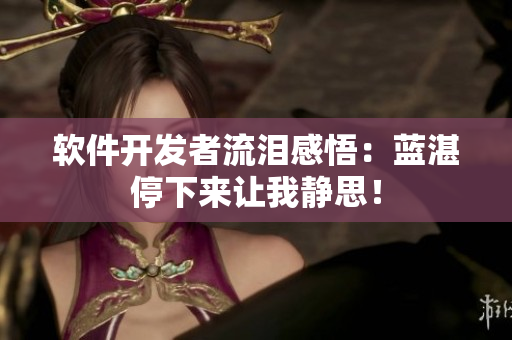 软件开发者流泪感悟：蓝湛停下来让我静思！