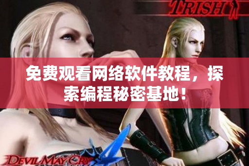 免费观看网络软件教程，探索编程秘密基地！