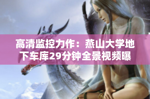高清监控力作：燕山大学地下车库29分钟全景视频曝光！