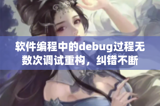 软件编程中的debug过程无数次调试重构，纠错不断