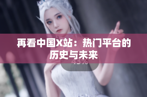 再看中国X站：热门平台的历史与未来