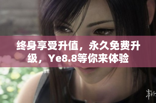 终身享受升值，永久免费升级，Ye8.8等你来体验
