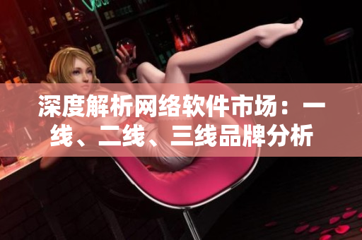 深度解析网络软件市场：一线、二线、三线品牌分析