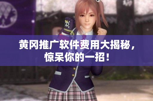 黄冈推广软件费用大揭秘，惊呆你的一招！