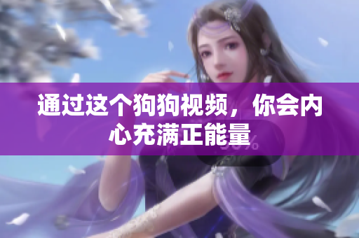 通过这个狗狗视频，你会内心充满正能量