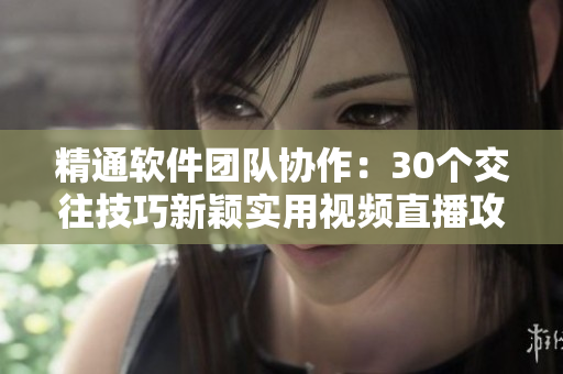 精通软件团队协作：30个交往技巧新颖实用视频直播攻略