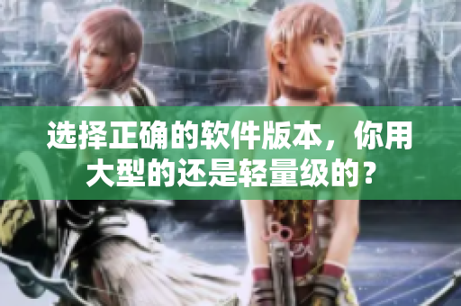选择正确的软件版本，你用大型的还是轻量级的？