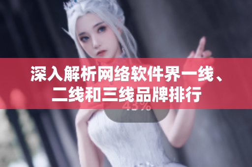 深入解析网络软件界一线、二线和三线品牌排行