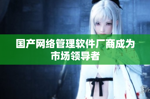 国产网络管理软件厂商成为市场领导者