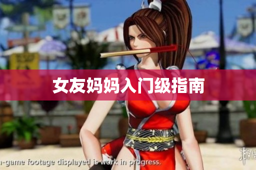女友妈妈入门级指南