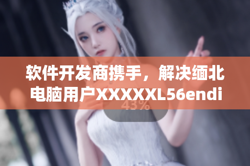 软件开发商携手，解决缅北电脑用户XXXXXL56endian兼容性问题(1)