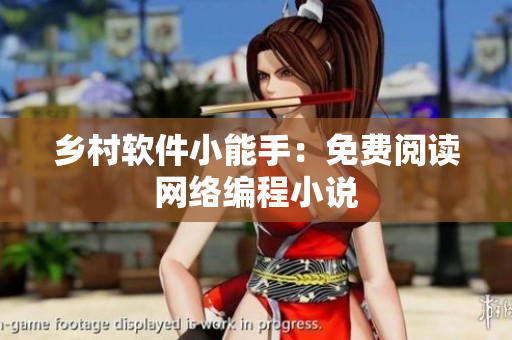 乡村软件小能手：免费阅读网络编程小说