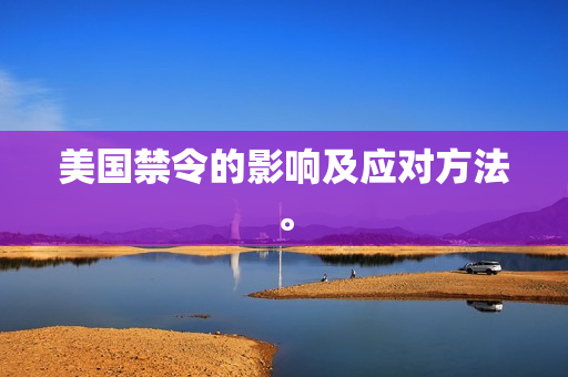 美国禁令的影响及应对方法。