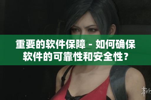 重要的软件保障 - 如何确保软件的可靠性和安全性？