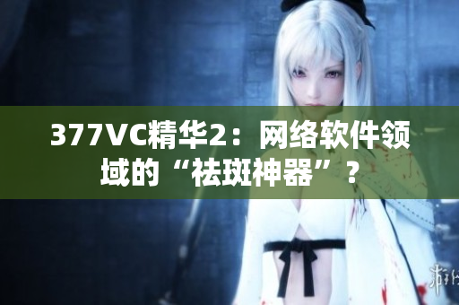 377VC精华2：网络软件领域的“祛斑神器”？