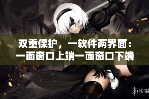 双重保护，一软件两界面：一面窗口上端一面窗口下端，体验不一样