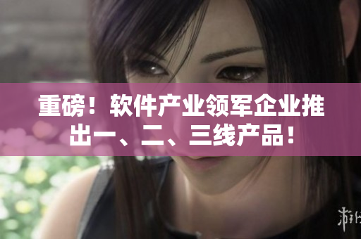 重磅！软件产业领军企业推出一、二、三线产品！