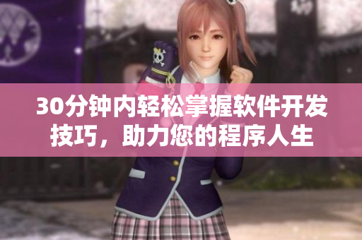 30分钟内轻松掌握软件开发技巧，助力您的程序人生