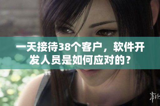 一天接待38个客户，软件开发人员是如何应对的？