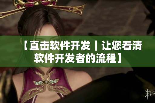 【直击软件开发｜让您看清软件开发者的流程】