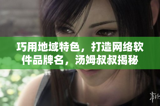 巧用地域特色，打造网络软件品牌名，汤姆叔叔揭秘