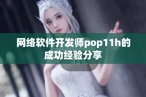 网络软件开发师pop11h的成功经验分享