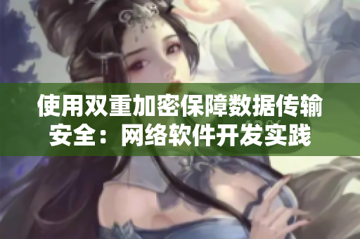 使用双重加密保障数据传输安全：网络软件开发实践