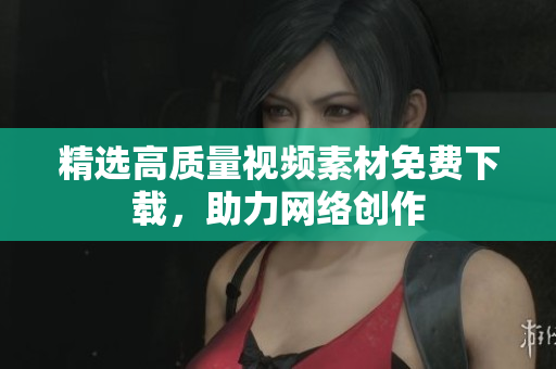 精选高质量视频素材免费下载，助力网络创作
