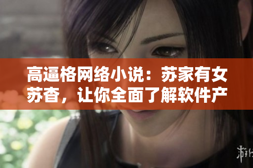 高逼格网络小说：苏家有女苏杳，让你全面了解软件产业的内幕！