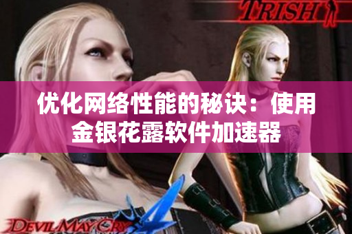 优化网络性能的秘诀：使用金银花露软件加速器