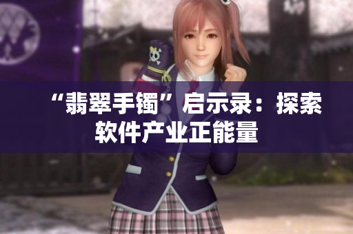 “翡翠手镯”启示录：探索软件产业正能量
