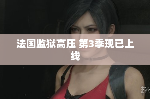 法国监狱高压 第3季现已上线