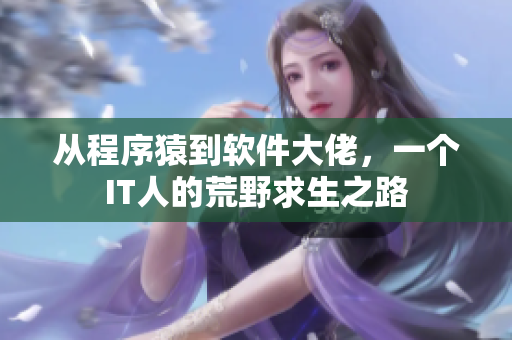 从程序猿到软件大佬，一个IT人的荒野求生之路