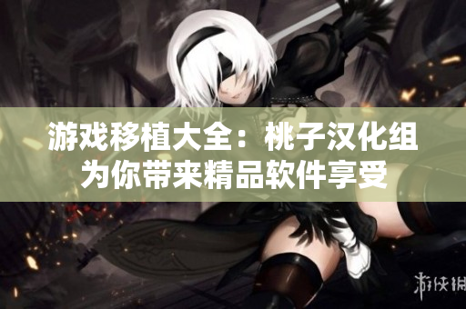 游戏移植大全：桃子汉化组为你带来精品软件享受