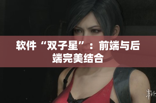 软件“双子星”：前端与后端完美结合