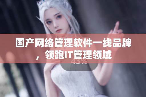 国产网络管理软件一线品牌，领跑IT管理领域