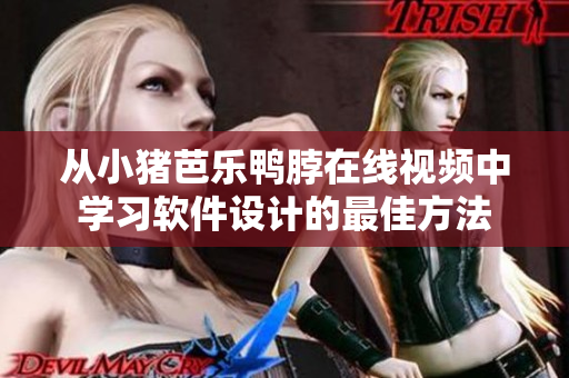 从小猪芭乐鸭脖在线视频中学习软件设计的最佳方法