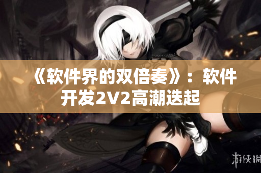 《软件界的双倍奏》：软件开发2V2高潮迭起