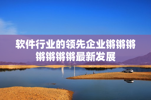 软件行业的领先企业锵锵锵锵锵锵锵最新发展