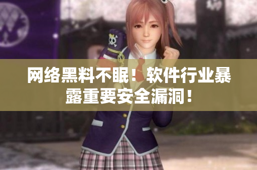 网络黑料不眠！软件行业暴露重要安全漏洞！