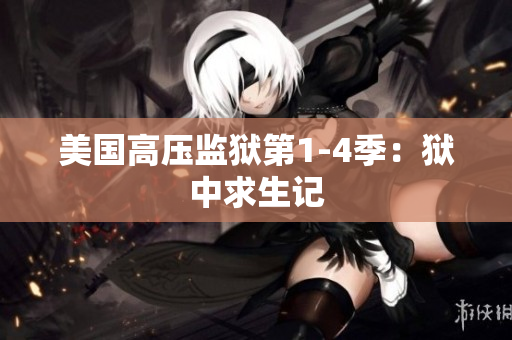 美国高压监狱第1-4季：狱中求生记