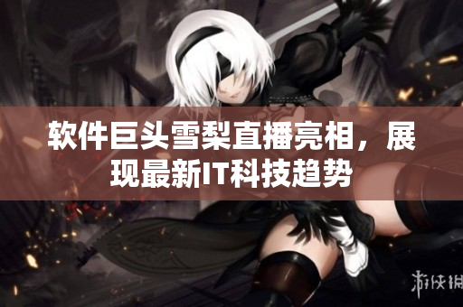 软件巨头雪梨直播亮相，展现最新IT科技趋势
