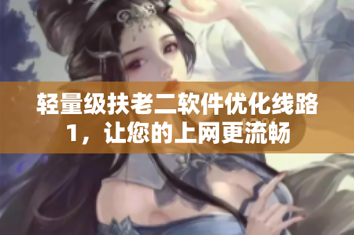 轻量级扶老二软件优化线路1，让您的上网更流畅