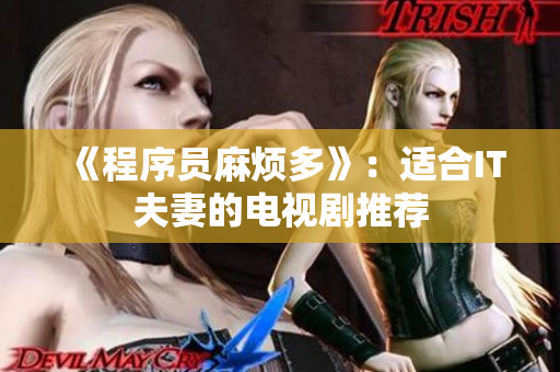 《程序员麻烦多》：适合IT夫妻的电视剧推荐