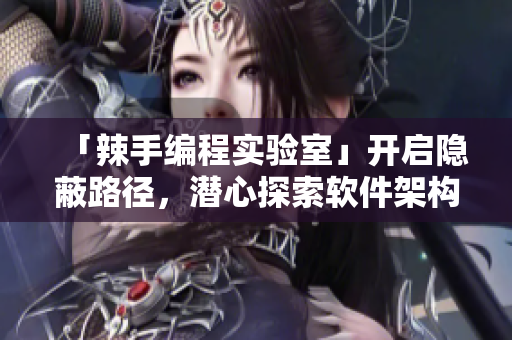 「辣手编程实验室」开启隐蔽路径，潜心探索软件架构奥秘